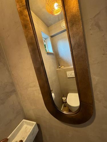 a bathroom with a mirror with a toilet and a sink at Vakantiehuis aan het water in Vinkeveen