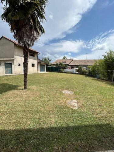 a yard with a palm tree and a house at Antica Dimora garden Alpe Adria cycle path in Pradamano