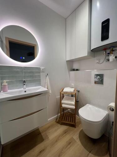 une salle de bain avec toilettes, lavabo et miroir dans l'établissement L Ecrin Nantais, à Nantes