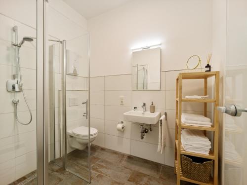 a bathroom with a toilet and a sink and a shower at DTV-zertifizierte Ferienwohnung Kleine Moselruhe - zentral, für 3 Personen, Parkplatz & WLAN in Traben-Trarbach