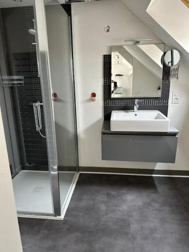 une salle de bain avec un lavabo, une douche et un miroir dans l'établissement Maison de ville conviviale avec terrasse, à Lanester