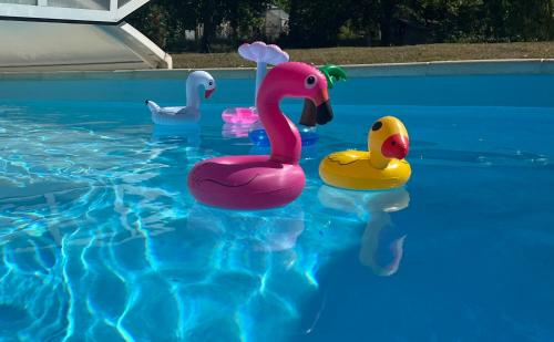 un groupe de trois canards en caoutchouc dans une piscine dans l'établissement Maison de bourg, à Carcagny