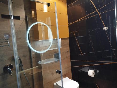 a bathroom with a glass shower with a toilet at ELFF -Apartamenty i pokoje gościnne in Cisna