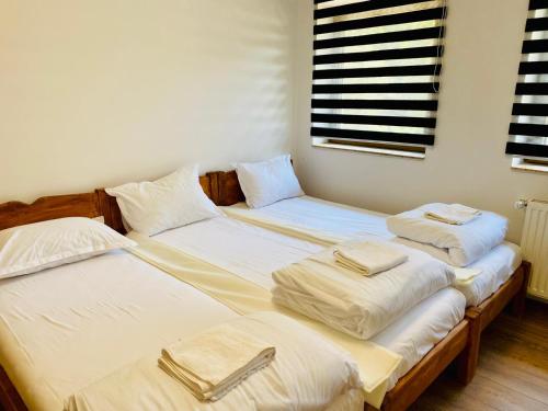 two twin beds sitting next to each other in a room at Cabana din munte in Moroeni