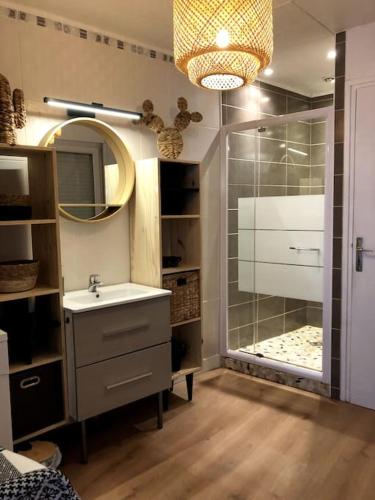 une salle de bain avec un lavabo et une douche avec un miroir dans l'établissement maison de vacances, à Berck-sur-Mer