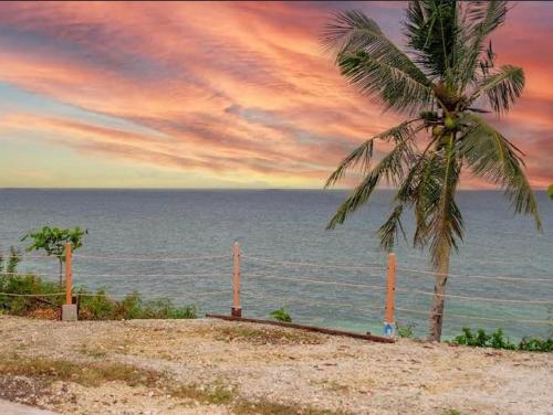 a palm tree sitting on top of a beach with the ocean at Durhan White Beach Resort powered by Cocotel in Tabuelan