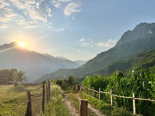 Gallery image of Northern Peaks Guesthouse in Abat