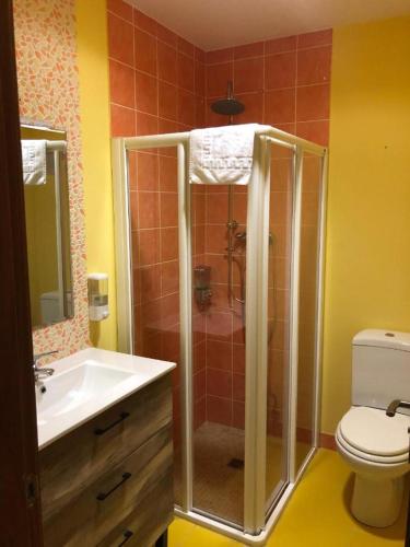 a bathroom with a shower and a sink and a toilet at Salionca habitaciones in Poza de la Sal