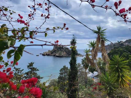 a view of the ocean from a hill with flowers at COCO Apartments Taormina in Taormina