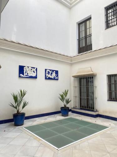 New loft en el centro de Sevilla