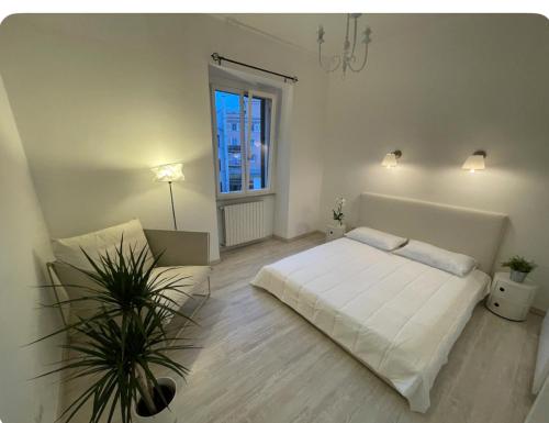 Colosseum Lindarella Home