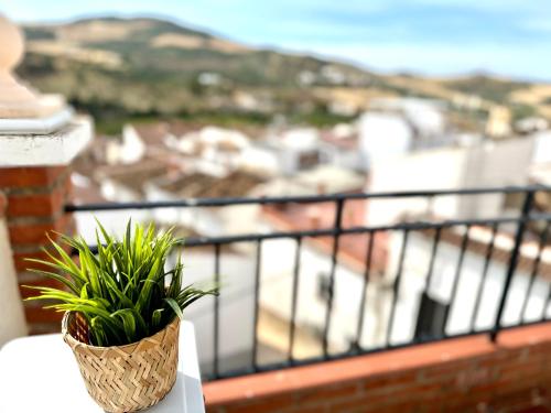 a potted plant sitting on the ledge of a balcony at Vistas del Valle in Valle de Abdalagís