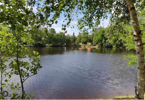 Photo de la galerie de l'établissement Le Bianca - Typique centre ville, à Compiègne