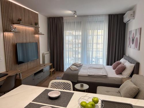ベオグラードにあるV Park Lux Apartmanのベッドとテレビがあるホテルの部屋