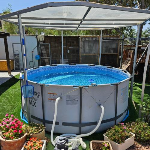 a hot tub with a canopy over it with flowers at חצבים על הואדי in Arad