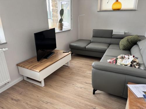 a living room with a couch and a flat screen tv at Ferienwohnung Erzgebirgsnest in Annaberg-Buchholz