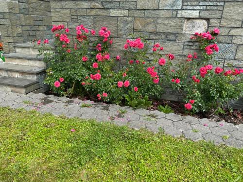 シュルンスにあるAlpenwohnungen Ruprecht Montafonの石垣の隣にあるピンクの花の庭
