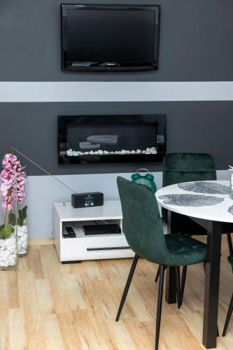 Телевизор и/или развлекательный центр в Apartament na Krupówkach - Orkana 1