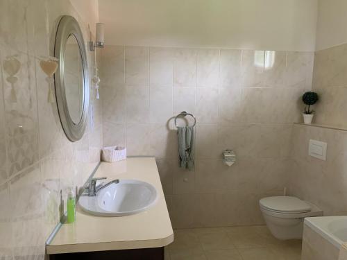 a bathroom with a sink and a toilet at Csonkás Kúria Vendégház Zemplén in Mogyoróska
