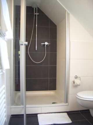 a bathroom with a shower and a toilet at Hotel Restaurant Daute in Iserlohn