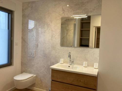 une salle de bain avec un lavabo, des toilettes et un miroir dans l'établissement Grands appartements face au port, à Quiberon