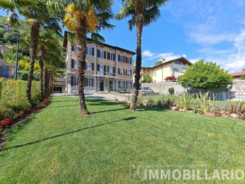 a lawn with palm trees in front of a building at Immobillario - Domus Palmae in Domaso