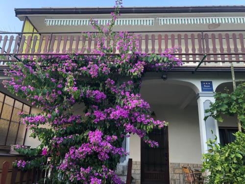 Apartment Marija Selce