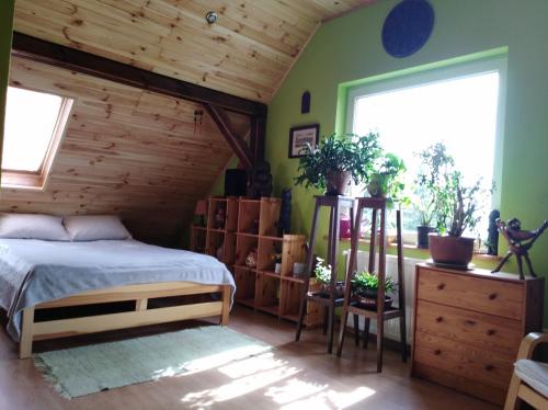 Fotografia z galérie ubytovania Dom na Kaszubach / House in Kashubia v destinácii Stara Kiszewa