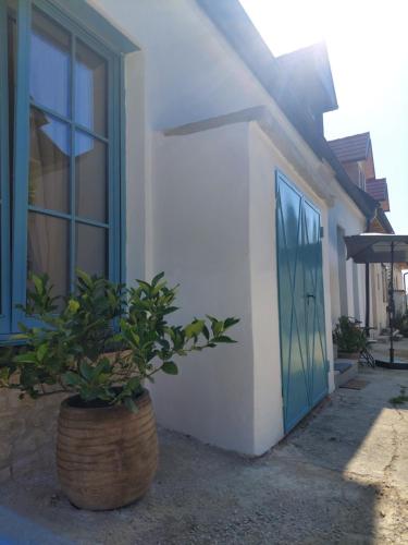 a house with a blue door and a potted plant at Hofgassenhaus LIMUN in Mörbisch am See