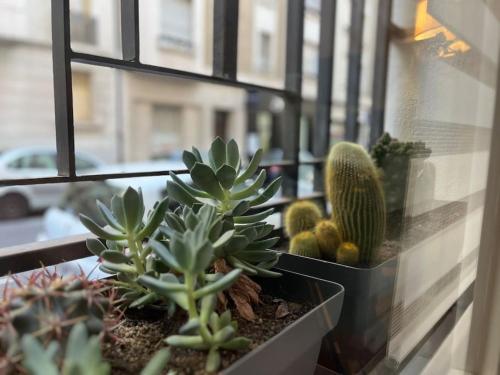 Studio Marseille