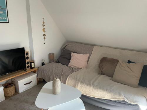 un salon avec un canapé et une télévision dans l'établissement Le 105 - appart-sympa - T2 vue jardin et cave - Larmor-Plage, à Larmor-Plage