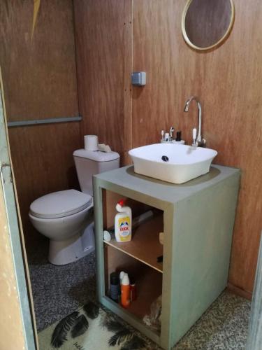 a bathroom with a sink and a toilet at Petite maison de tôle Rodriguaises in Tambe