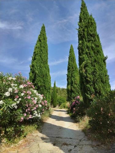 Κήπος έξω από το Maison Chemin d'Uzès