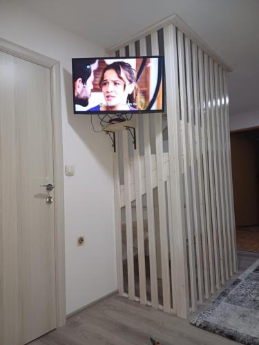 Televisyen dan/atau pusat hiburan di Apartments Igor