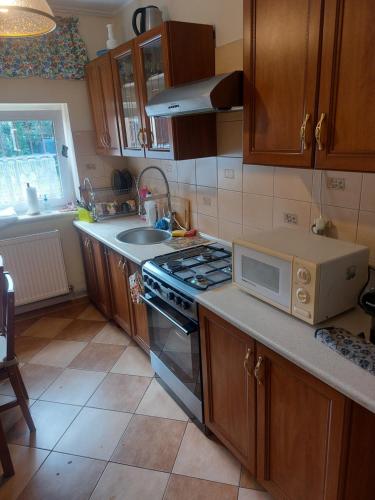 Kuchyň nebo kuchyňský kout v ubytování Kajetan