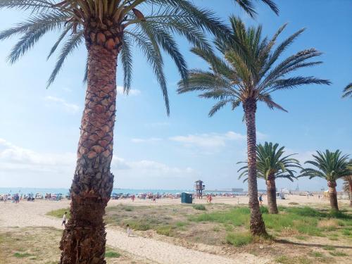 Φυσικό τοπίο κοντά σε αυτό το διαμέρισμα