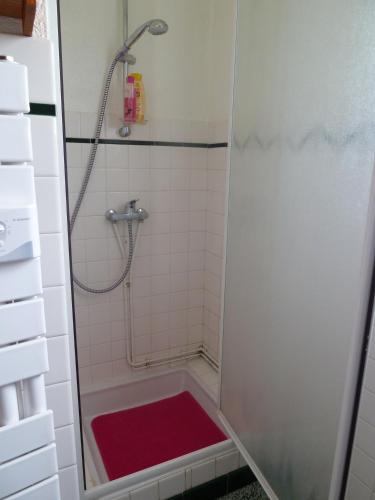 La salle de bains est pourvue d'une douche et d'un tapis rouge. dans l'établissement Can Roger, à Argelès-sur-Mer