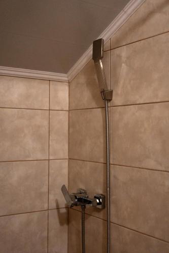 a shower in a bathroom with a shower head at Садиба Комфорт in Slavske