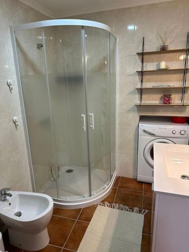 a bathroom with a shower and a toilet and a sink at casa dos Ferreira no Douro in Ucanha