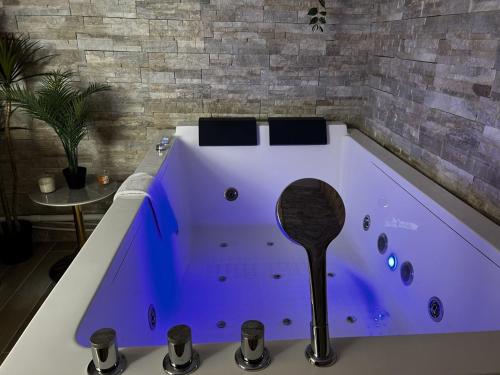 une grande baignoire violette dans une pièce dans l'établissement Pentagone 1 SPA PRIVE, à Reims