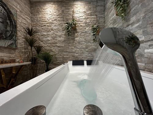 une baignoire avec douche dans une chambre dans l'établissement Pentagone 1 SPA PRIVE, à Reims