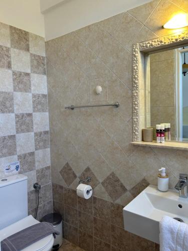 a bathroom with a toilet and a sink and a mirror at Cape Napos in Faros
