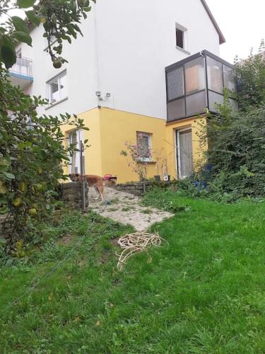 a yellow house with a dog standing in the yard at 4 km zu A7 und A71, Idylle am Bach, großer Garten in Euerbach