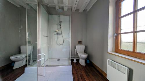 baño con ducha y 2 aseos en Sainte-Suzanne gîte de LA FERME calme et tranquille, en Les Baux-de-Breteuil