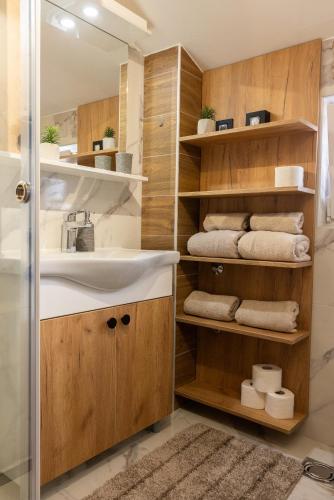 a bathroom with a sink and a shower at Apartmani Skadarlija Valjevo in Valjevo
