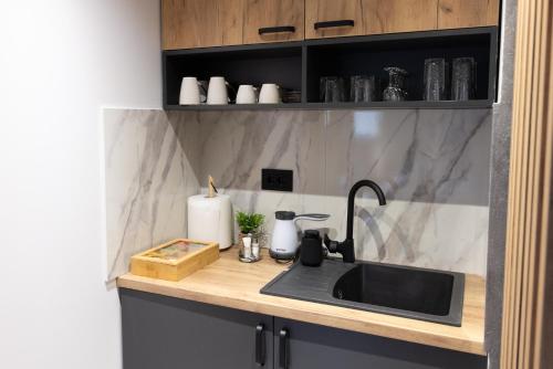 a kitchen with a sink and a counter top at Apartmani Skadarlija Valjevo in Valjevo