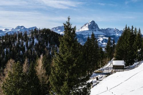 a snow covered mountain with a house on a snow covered slope at Alpine Hotel Gran Foda' in San Vigilio Di Marebbe