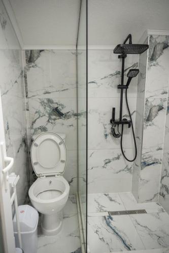 a bathroom with a toilet and a shower at Hotel CENTRAL in Prilep