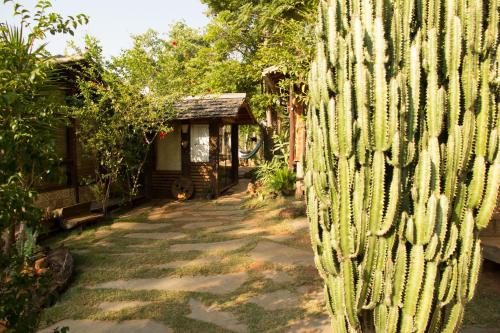 un cactus devant une maison avec une clôture dans l'établissement Abrigo Cipó, à La Serra do Cipo
