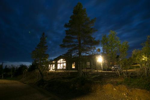 a house with a tree in front of it at night at Villas Karhunpesä in Saariselka